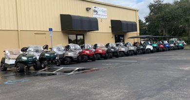 The Golf Cart Company