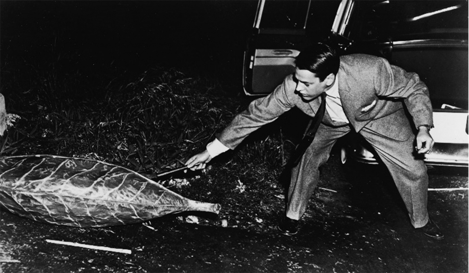 Тело советского человека. Invasion of the body Snatchers 1956. Вторжение похитителей тел (1955). Необъяснимые фотографии.