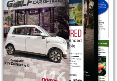 Exciting NEW LSV Vehicle Category